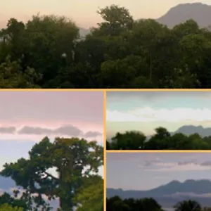 Jolie Studette Dans Un Environnement Arbore , Les Abymes Guadeloupe